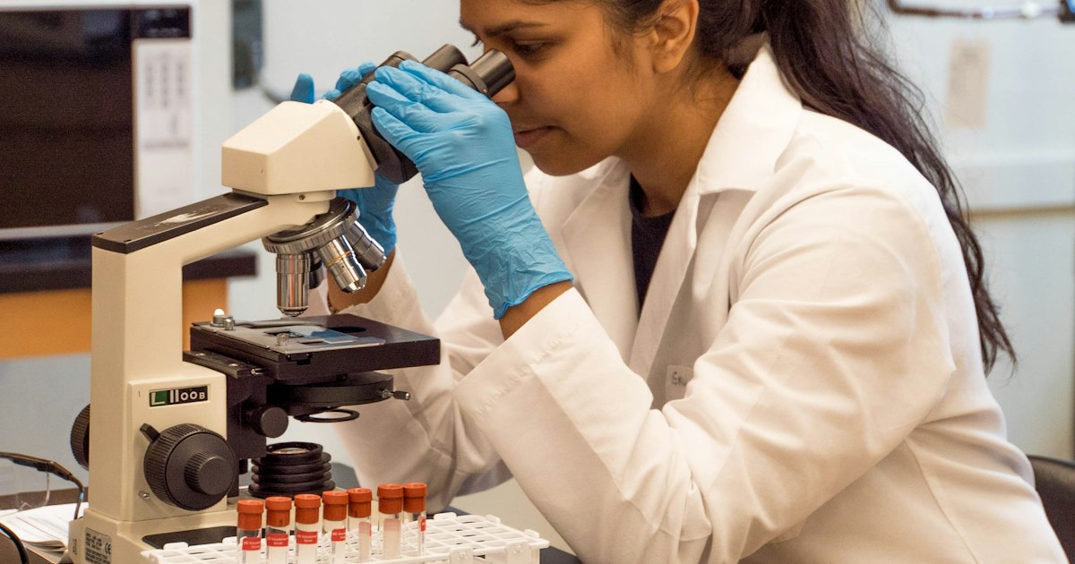 Épithalon et risques oncologiques : ce que disent les études